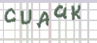 CAPTCHA Bild zum Spamschutz 