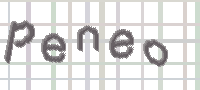 CAPTCHA Bild zum Spamschutz 